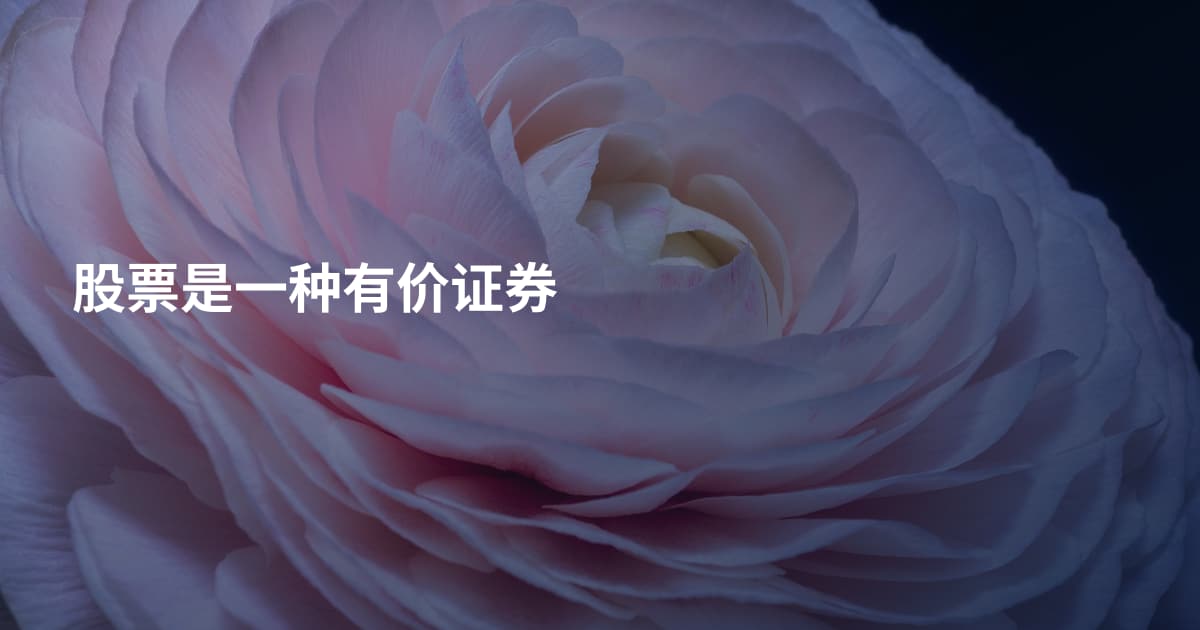 股票是一种有价证券