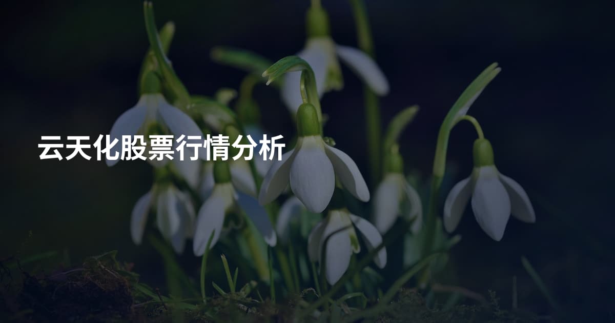 云天化股票行情分析