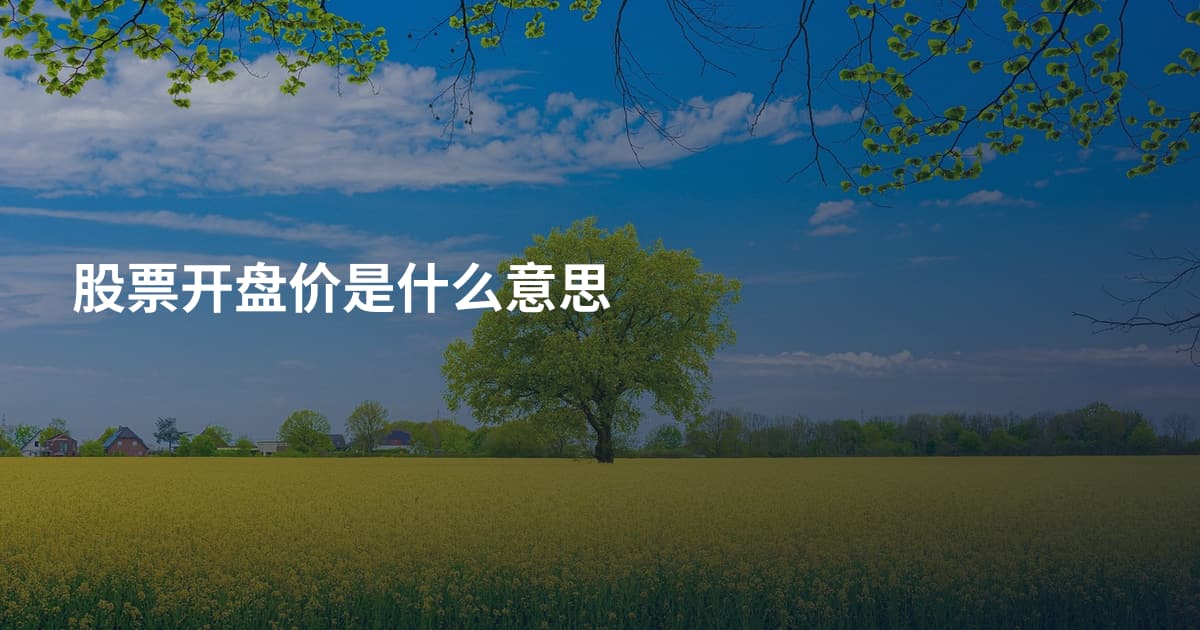 股票开盘价是什么意思