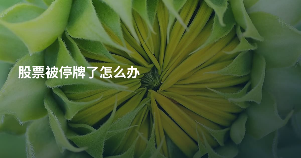 股票被停牌了怎么办