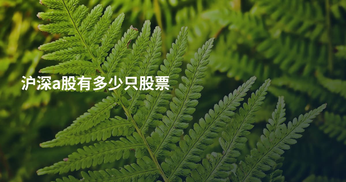 沪深a股有多少只股票