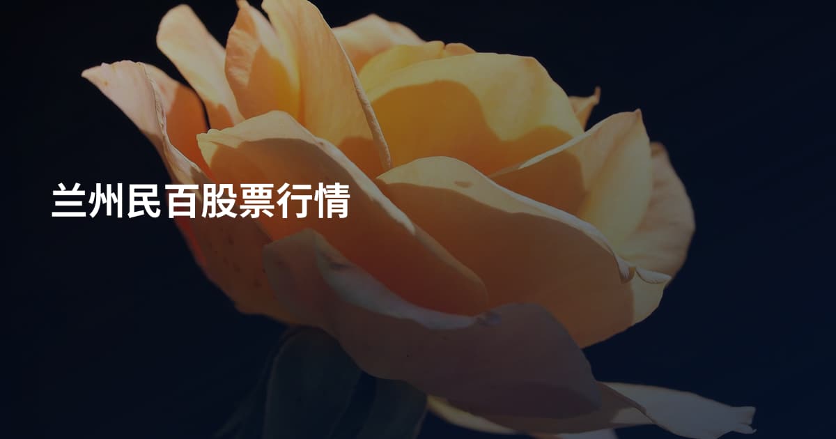 兰州民百股票行情