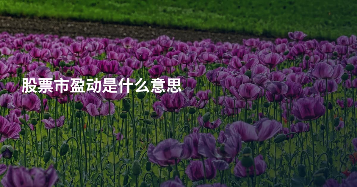 股票市盈动是什么意思