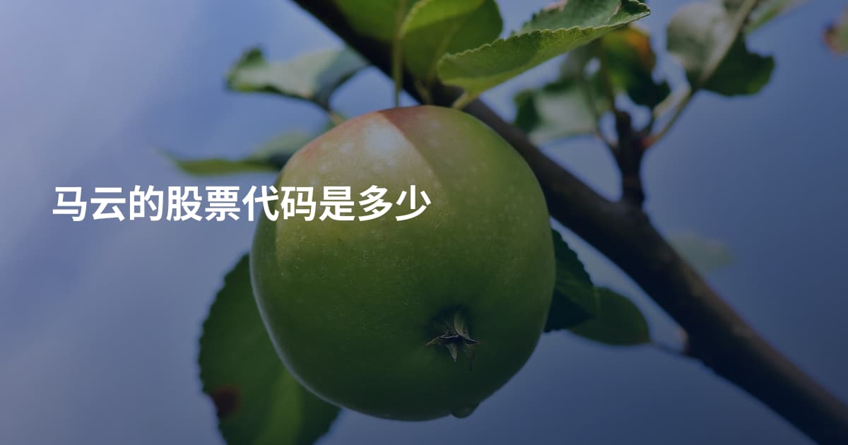 马云的股票代码是多少
