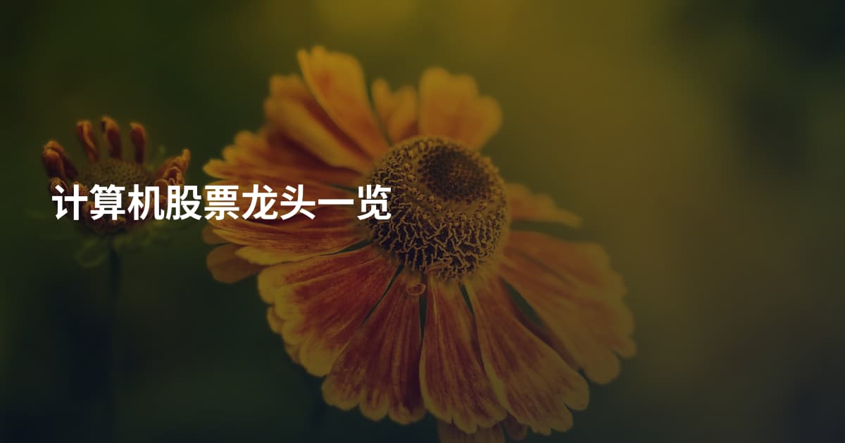 计算机股票龙头一览