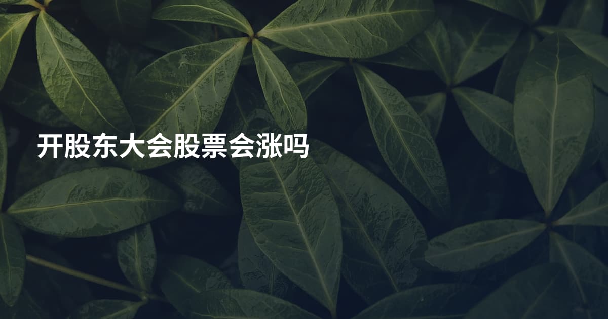 开股东大会股票会涨吗