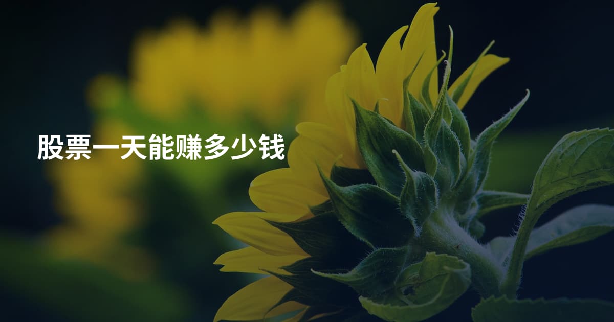 股票一天能赚多少钱