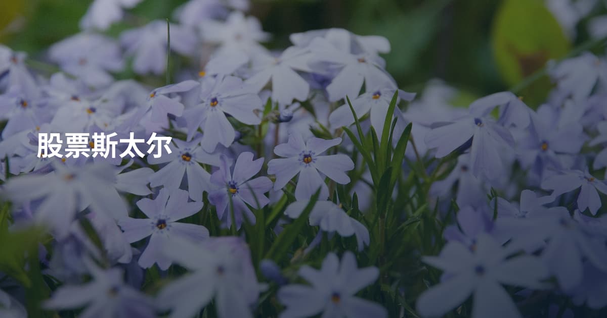 股票斯太尔