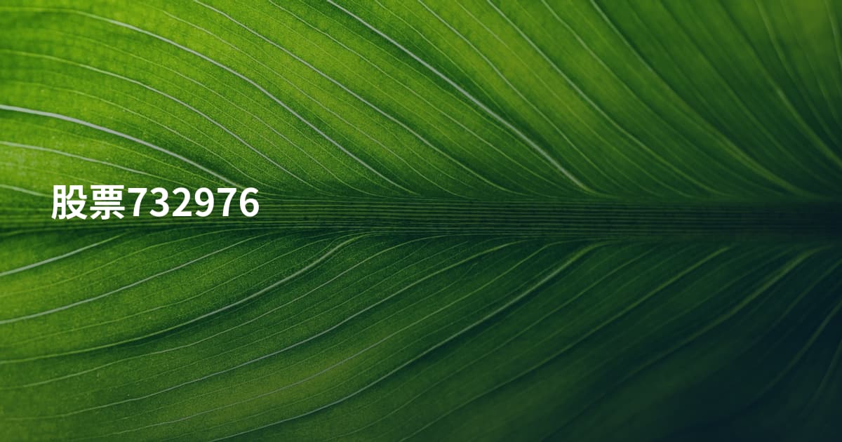 股票732976