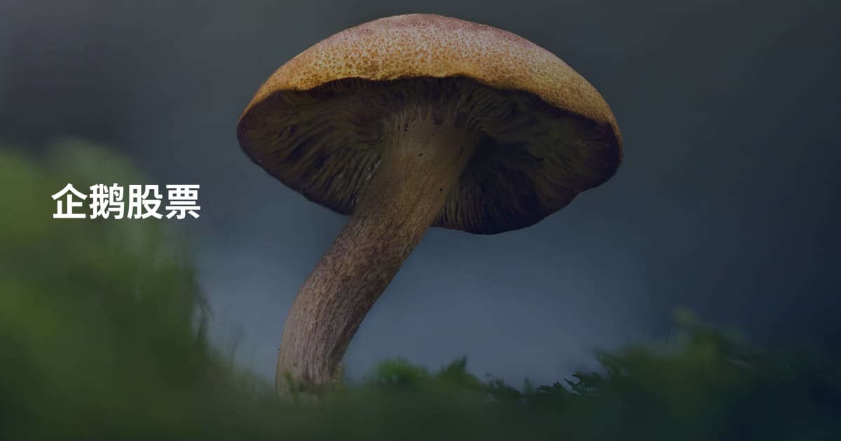 企鹅股票