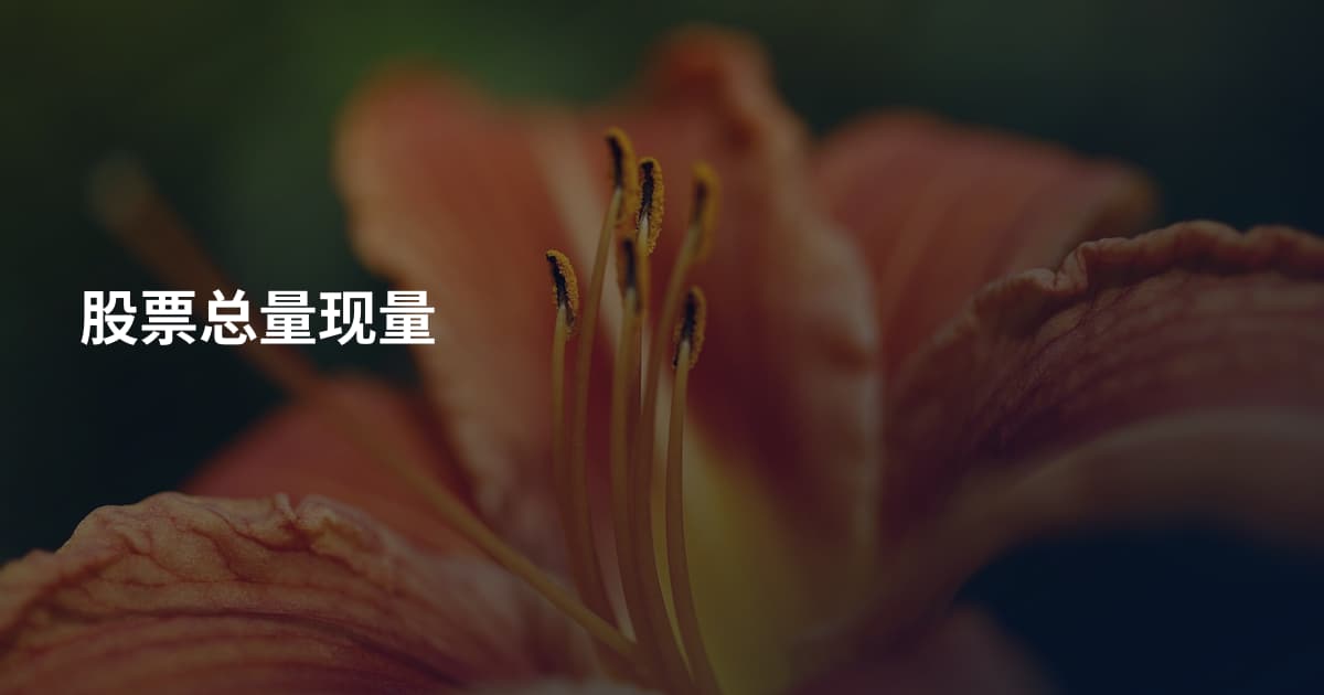 股票总量现量