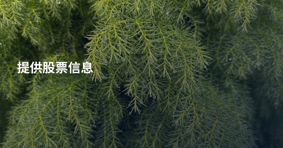 提供股票信息