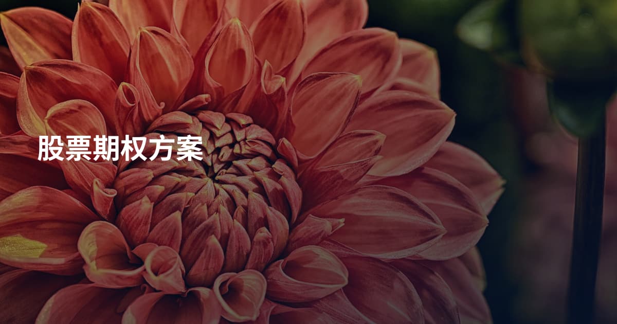 股票期权方案