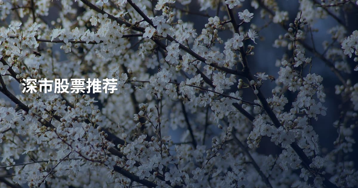 深市股票推荐