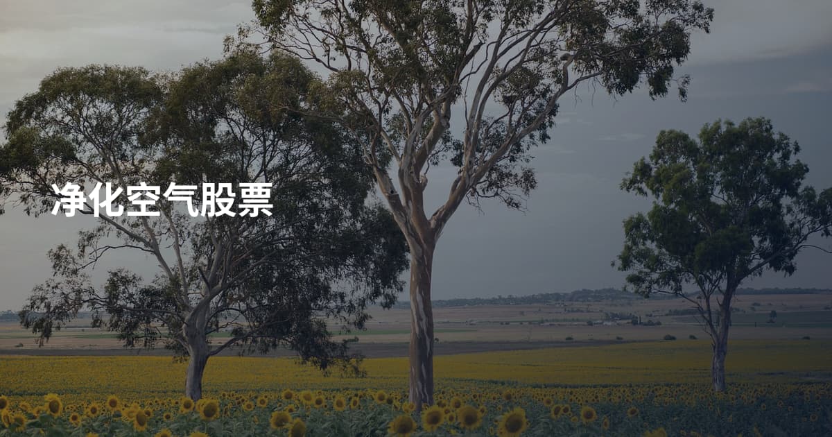 净化空气股票