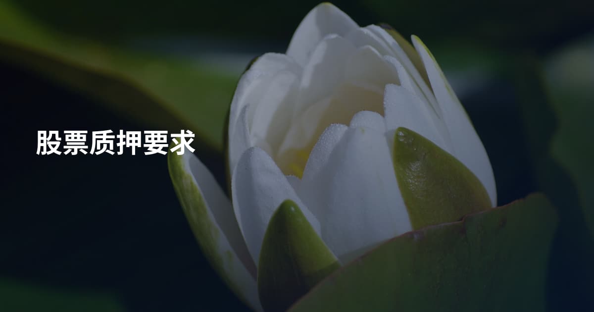 股票质押要求