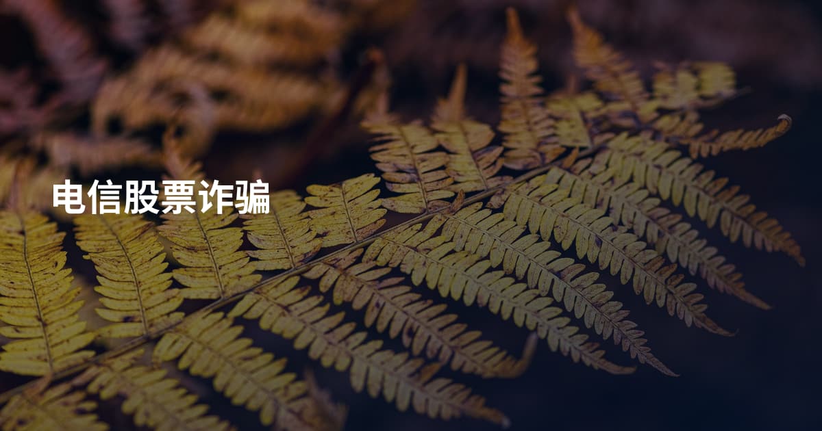 电信股票诈骗