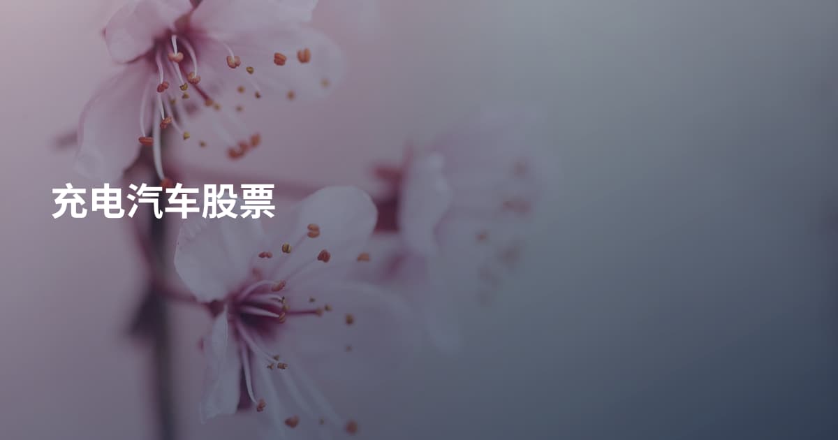 充电汽车股票
