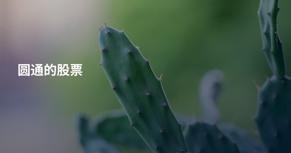 圆通的股票