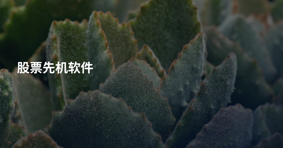 股票先机软件