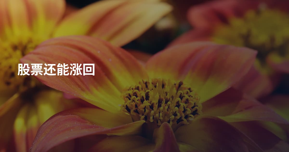 股票还能涨回