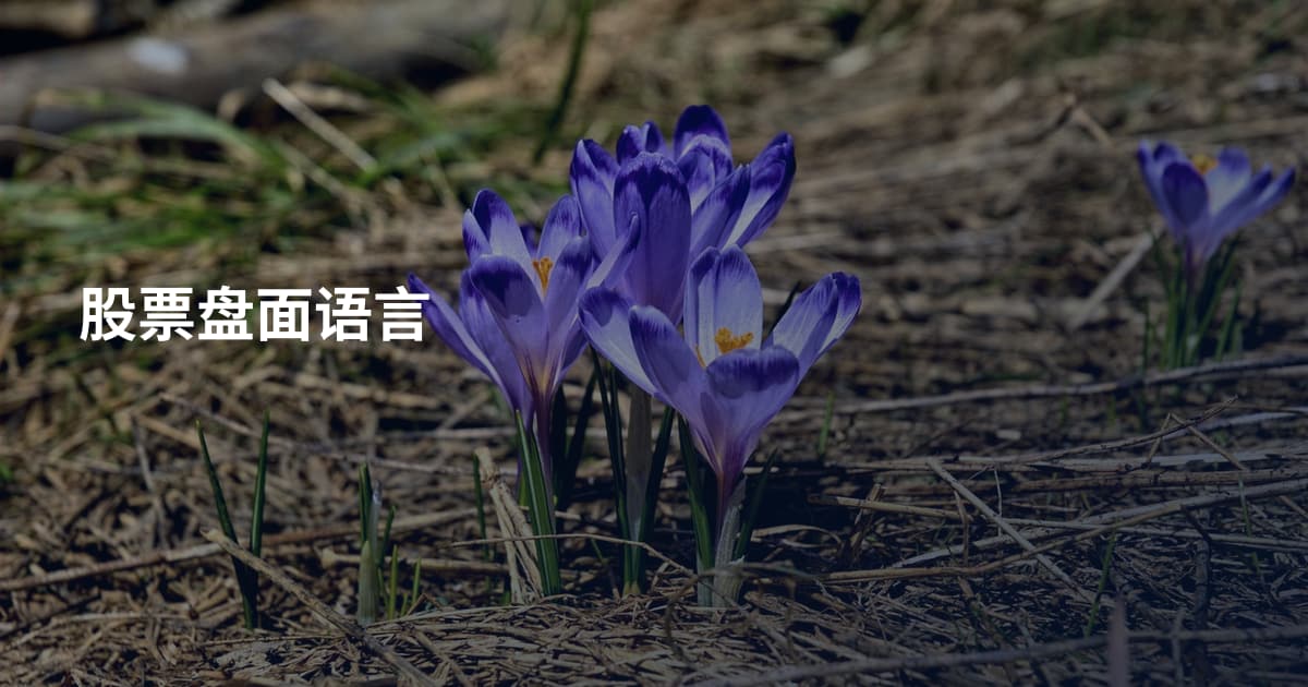股票盘面语言