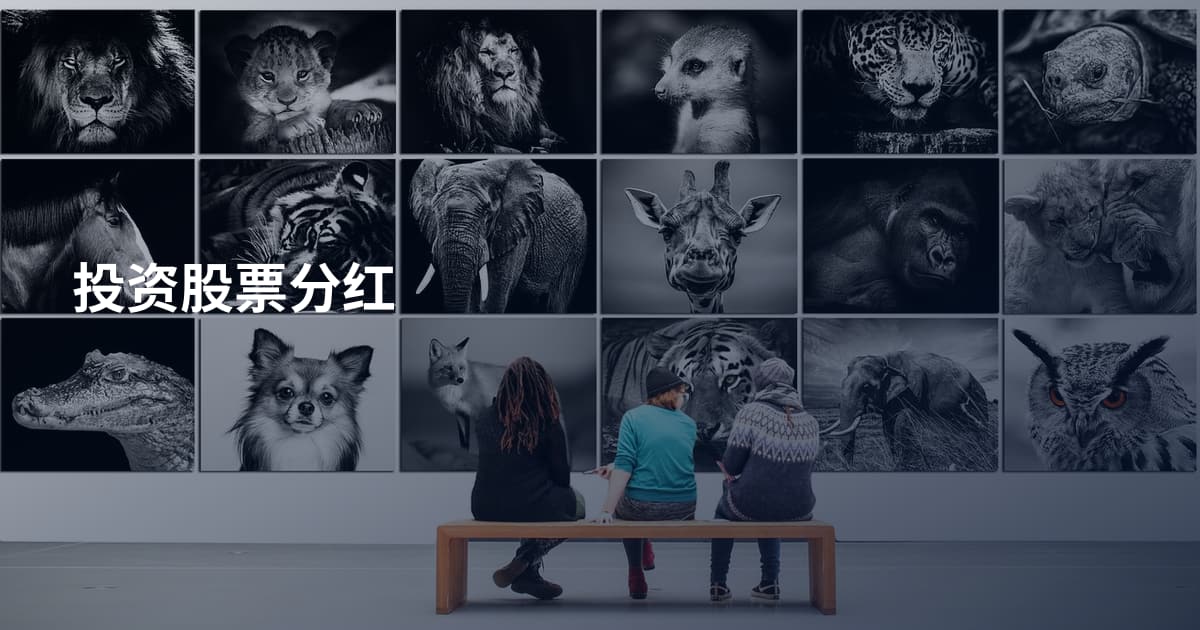 投资股票分红