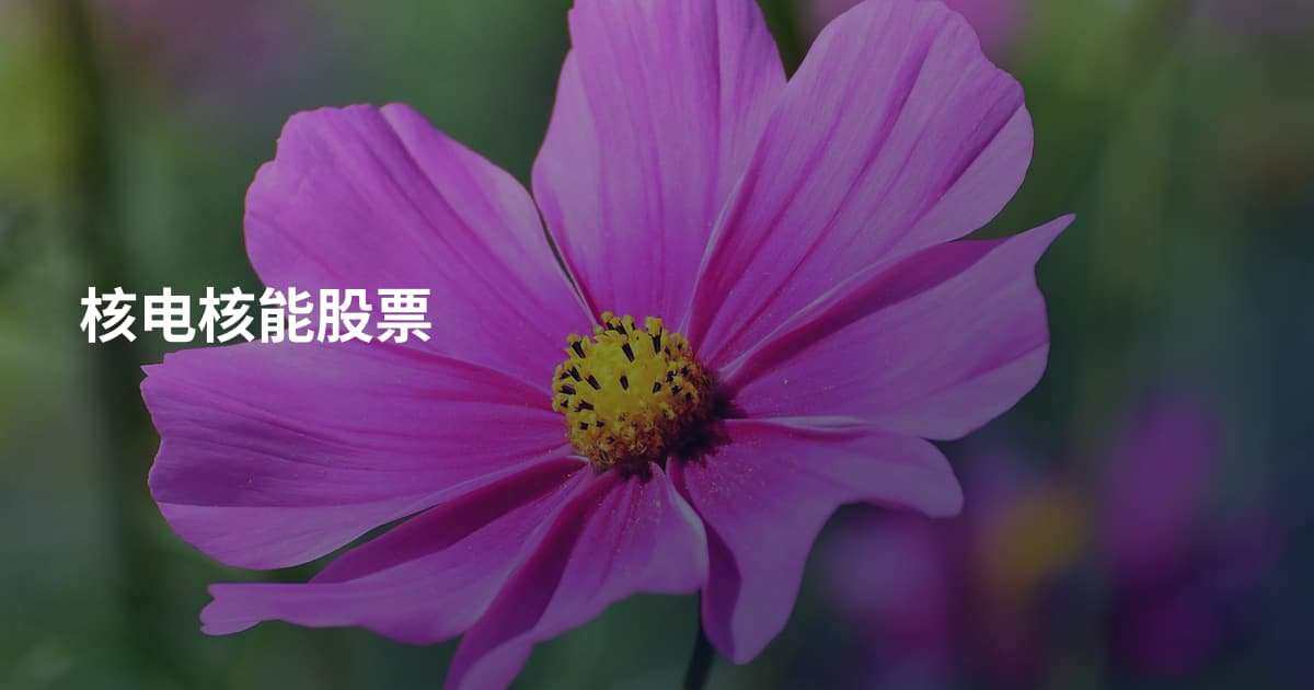 核电核能股票