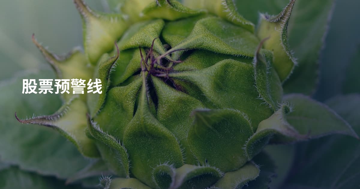 股票预警线