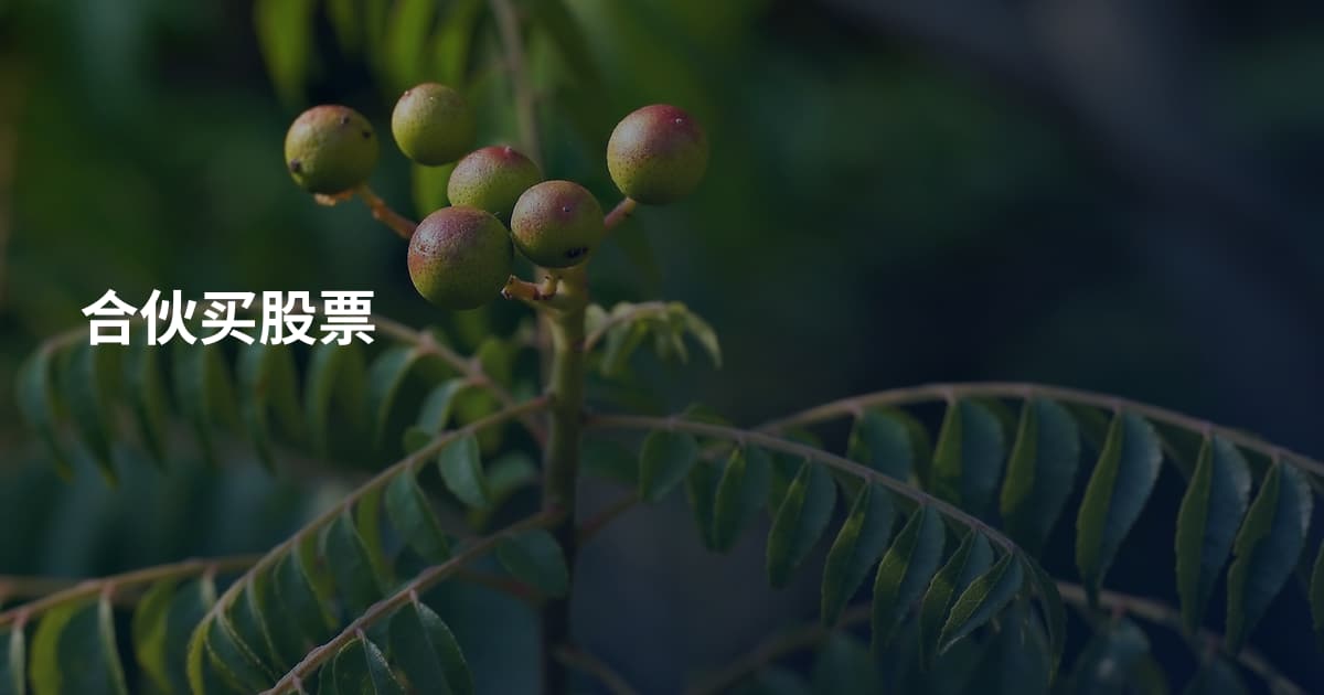 合伙买股票