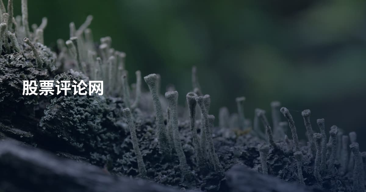 股票评论网