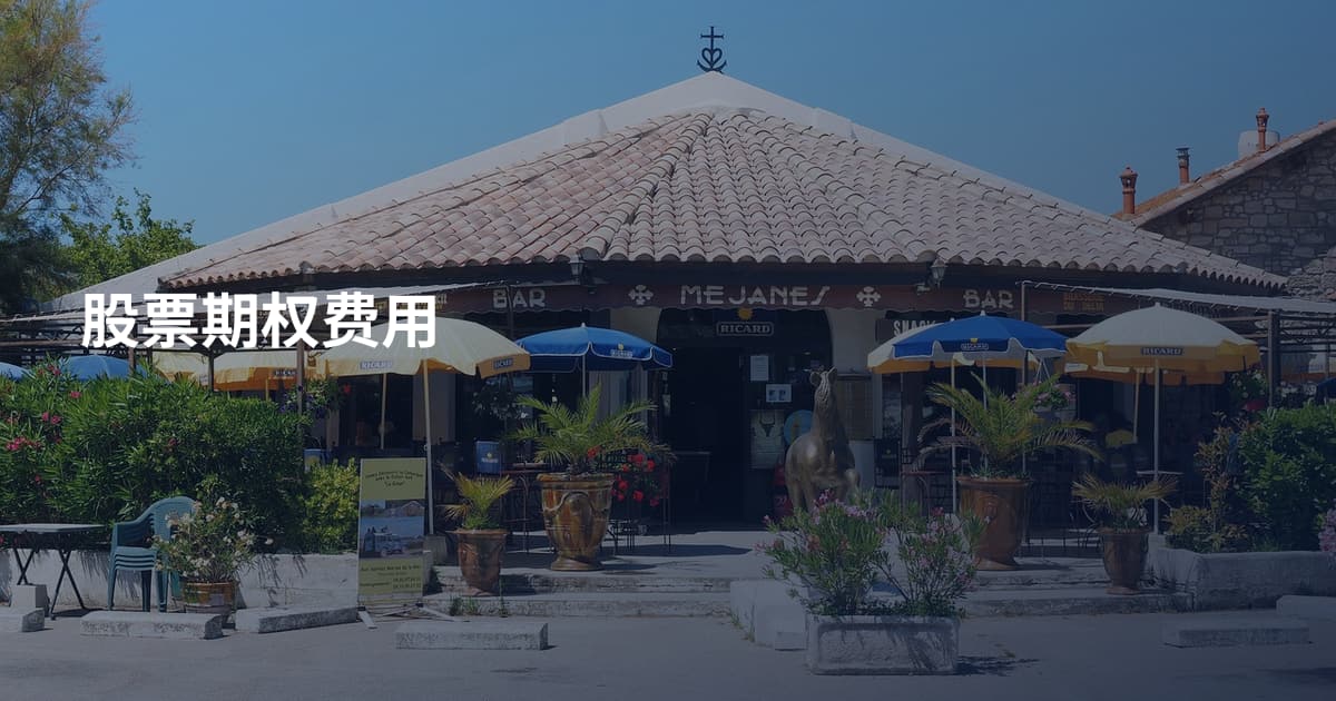 股票期权费用