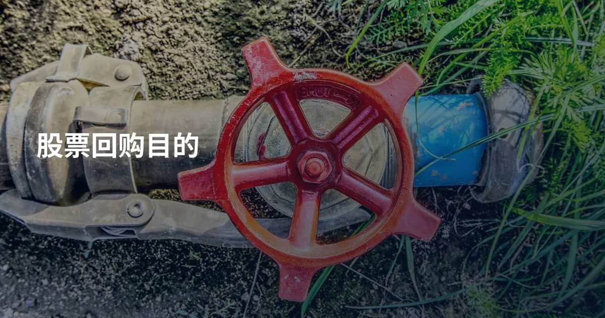 股票回购目的