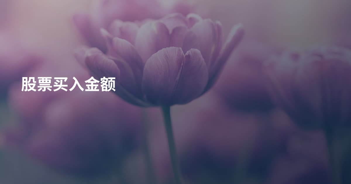 股票买入金额
