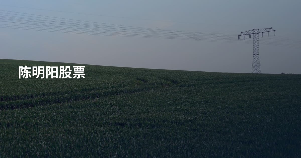 陈明阳股票