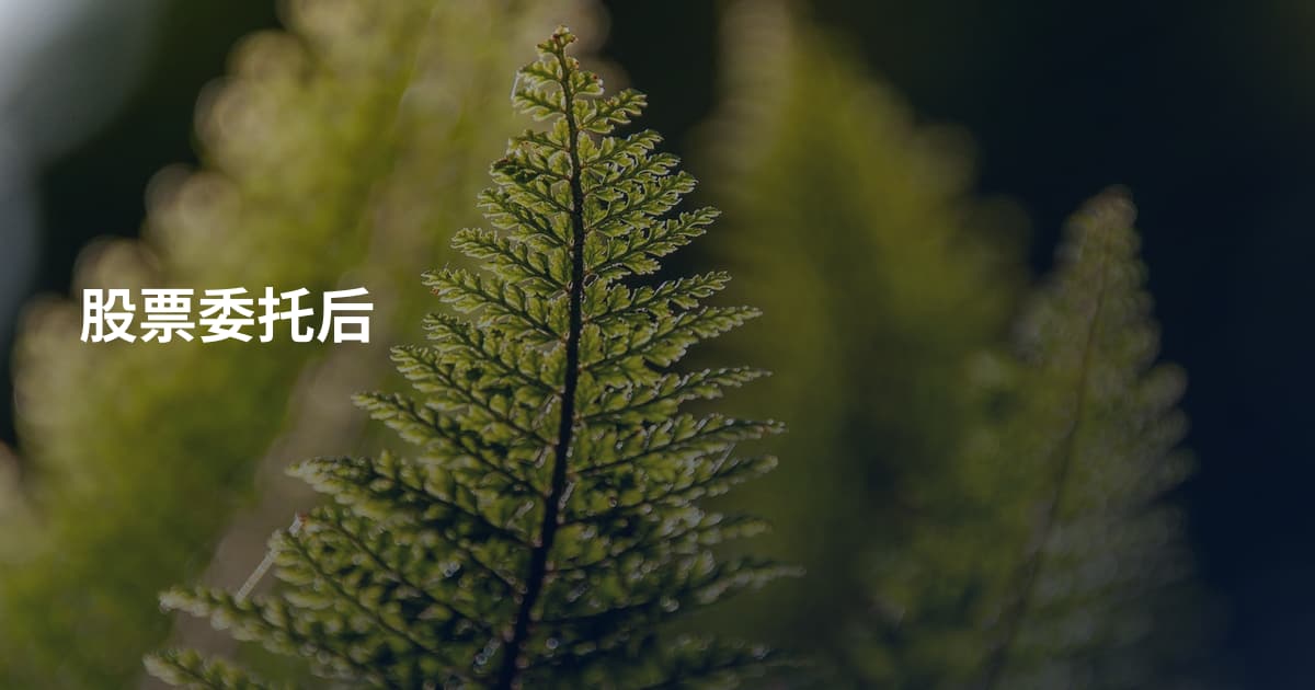 股票委托后