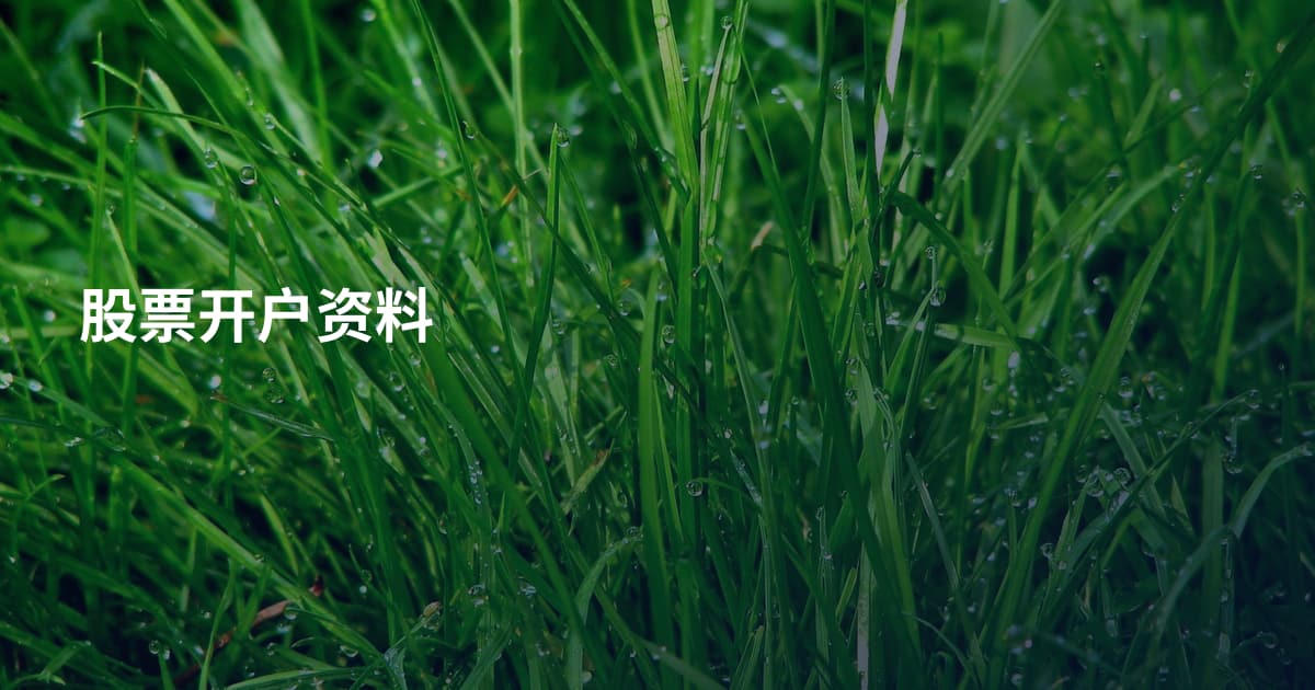 股票开户资料