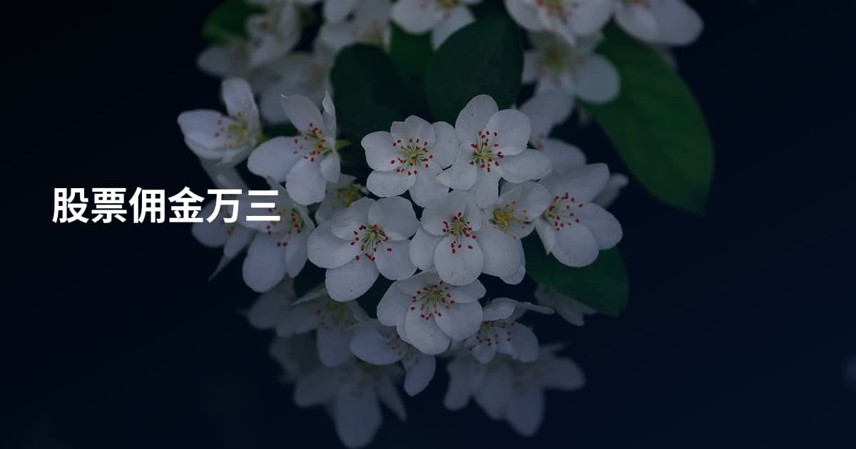 股票佣金万三