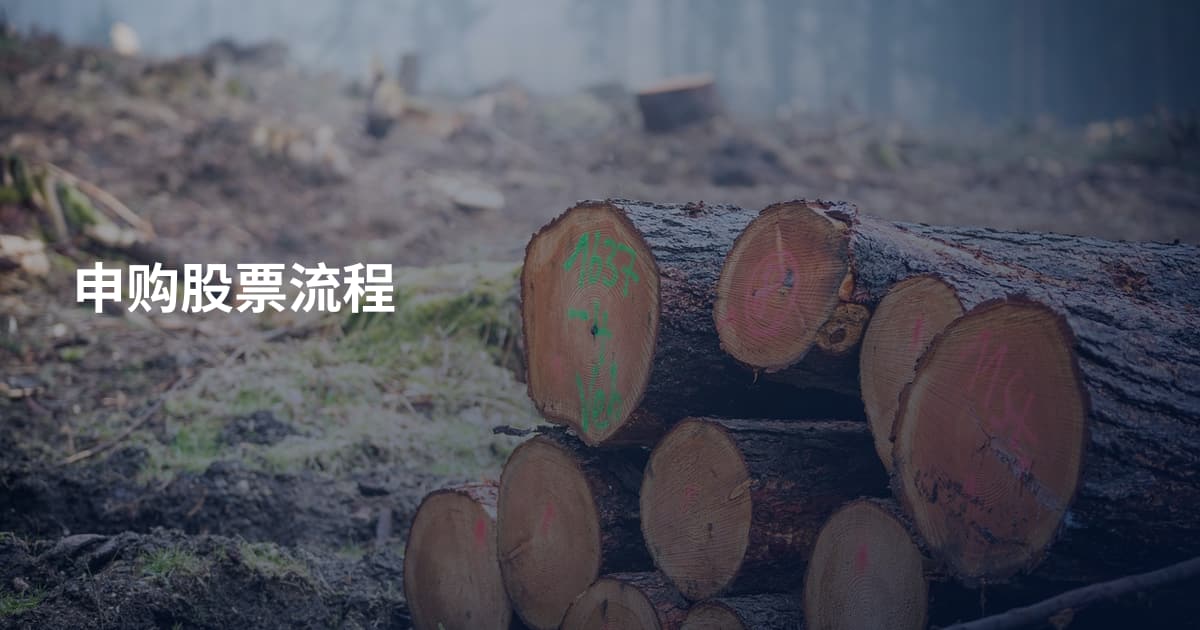 申购股票流程