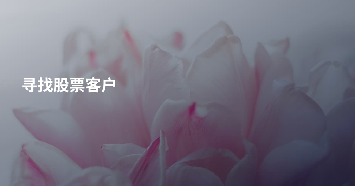 寻找股票客户