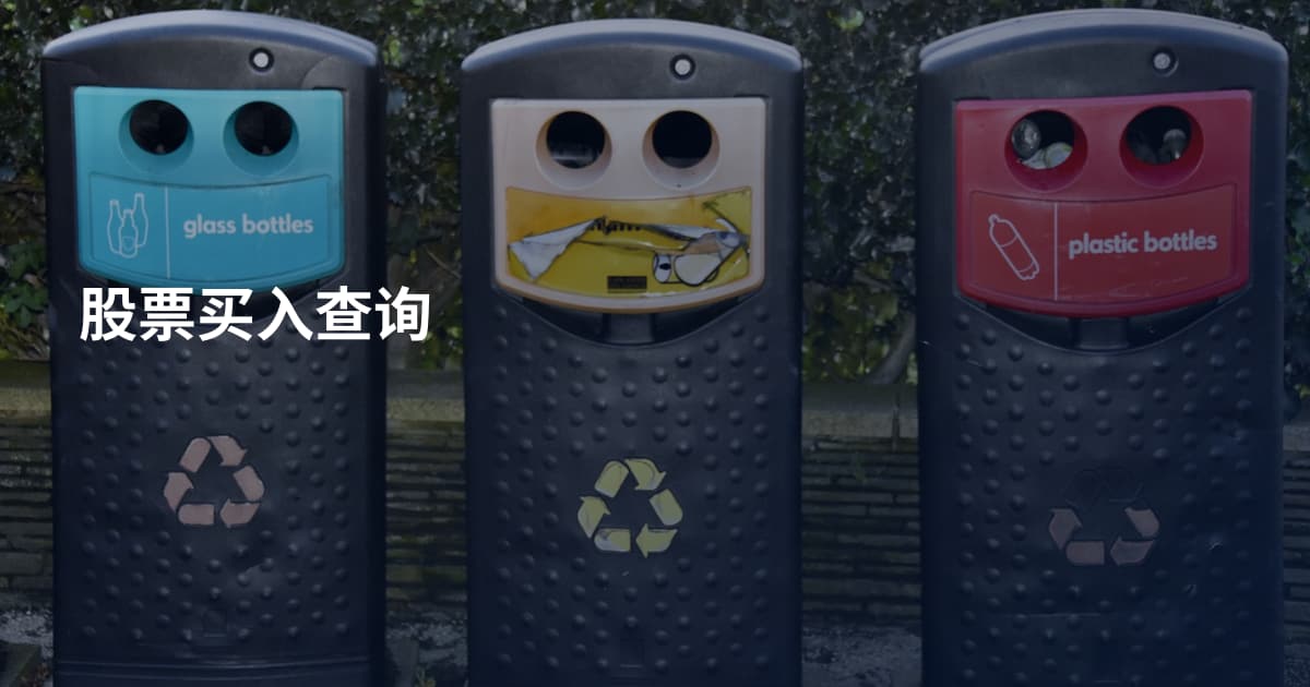 股票买入查询