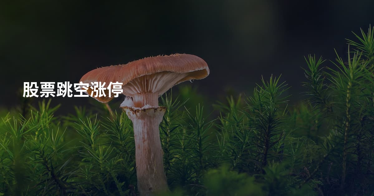 股票跳空涨停