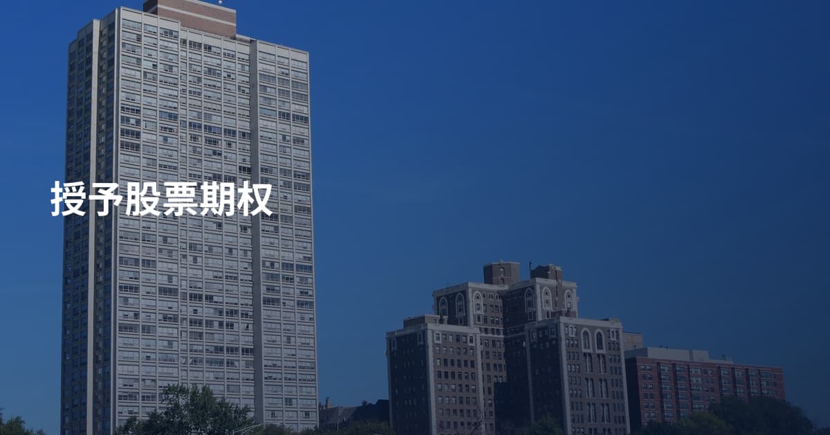 授予股票期权