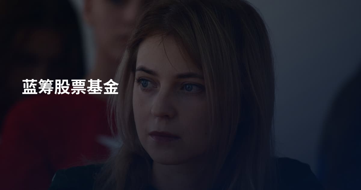 蓝筹股票基金