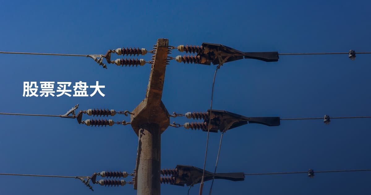 股票买盘大