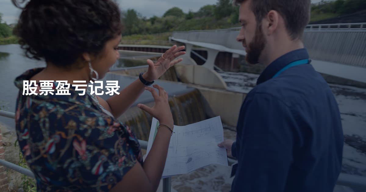股票盈亏记录