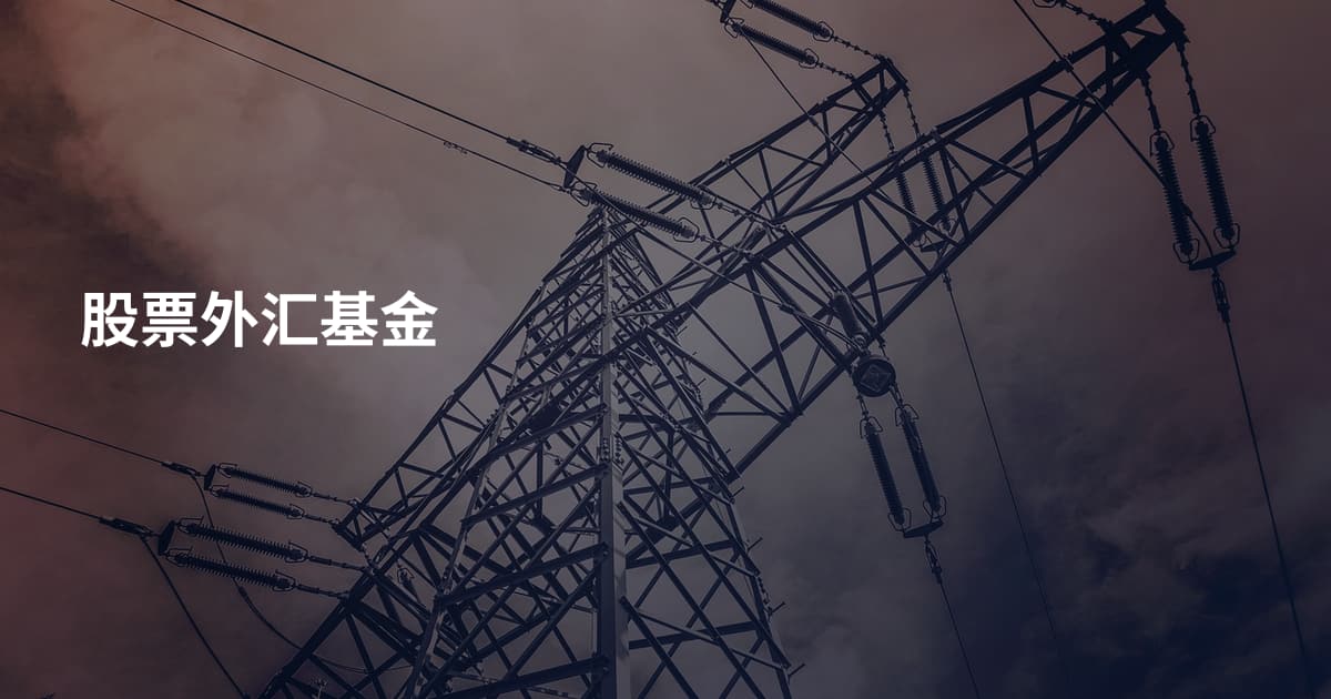 股票外汇基金