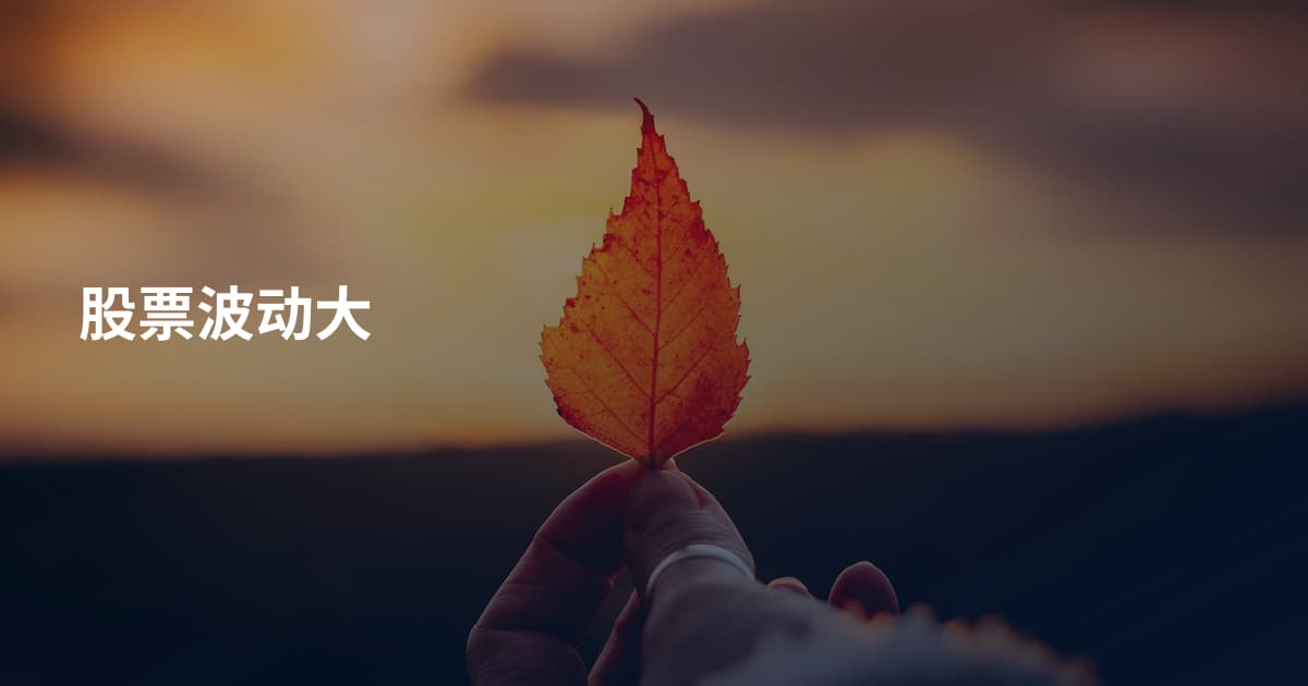 股票波动大