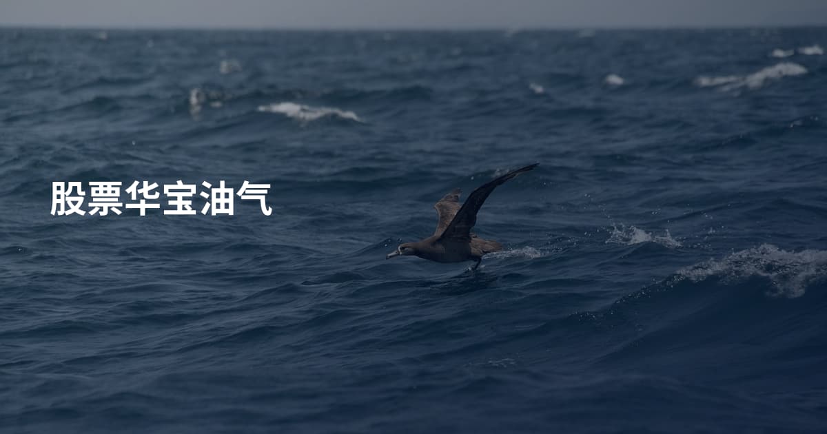 股票华宝油气