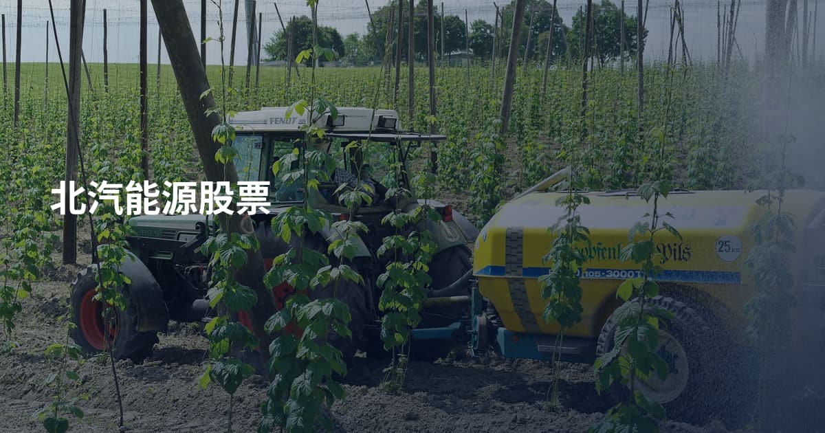 北汽能源股票